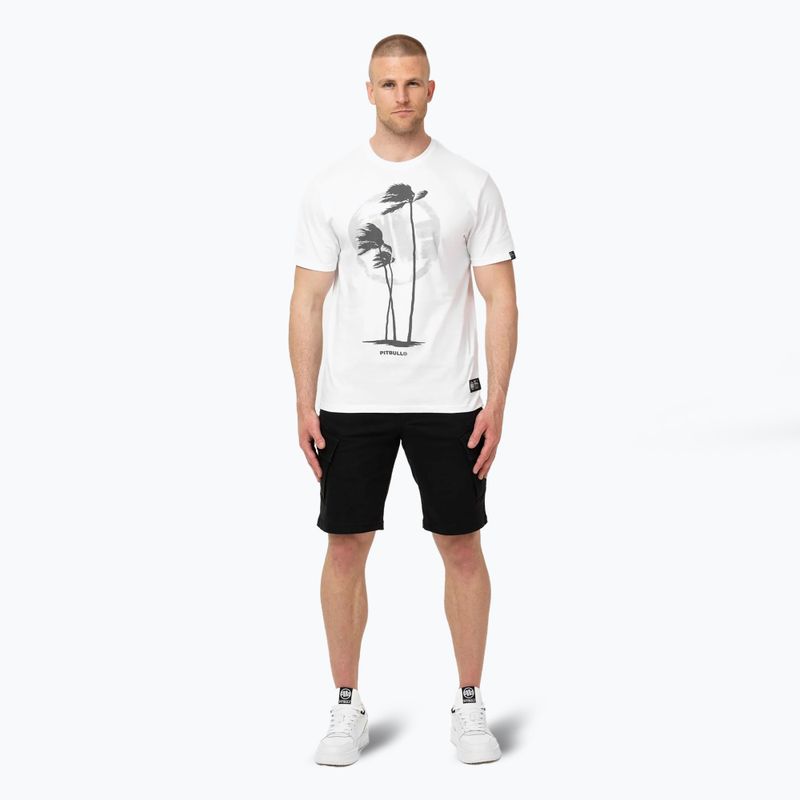 Pánské tričko Pitbull Palms white 2