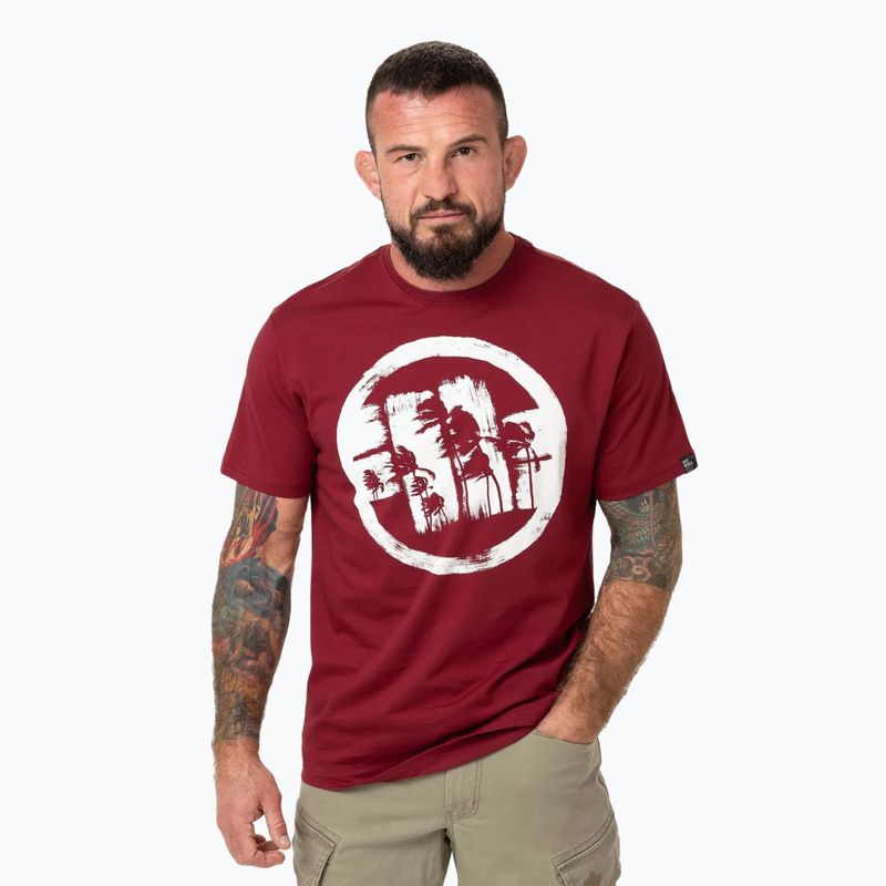 Pánské tričko Pitbull Logo Palms burgundy