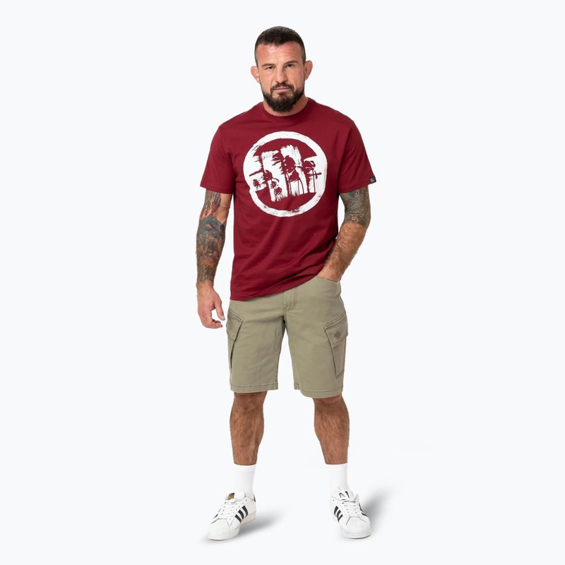 Pánské tričko Pitbull Logo Palms burgundy 2