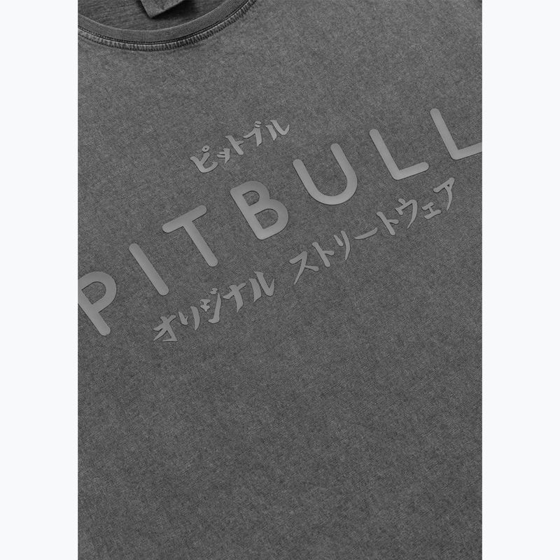 Pánské tričko Pitbull Mt. Fuji washed grey 4