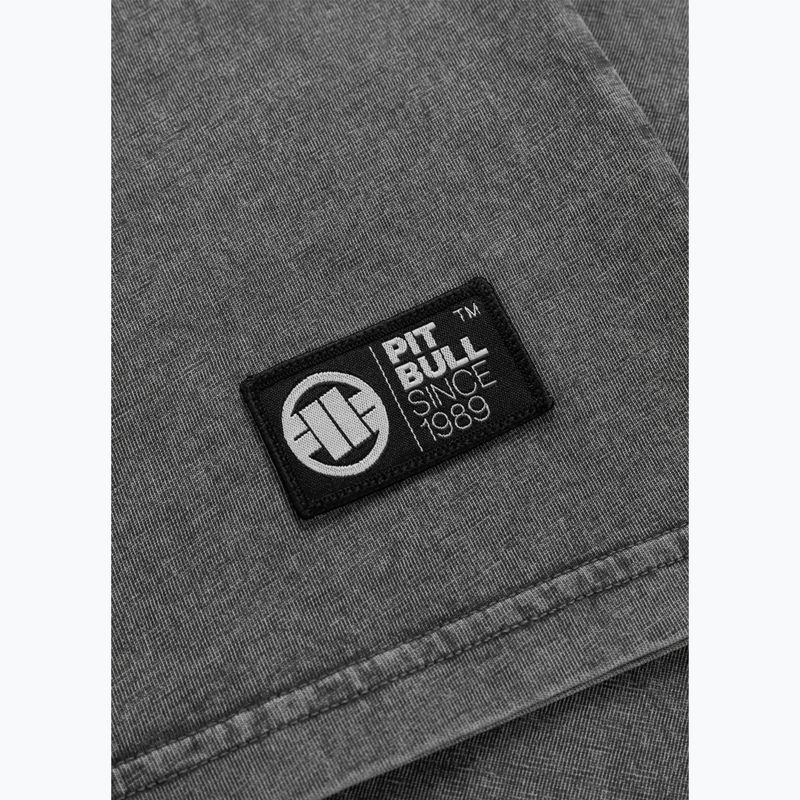 Pánské tričko Pitbull Mt. Fuji washed grey 8