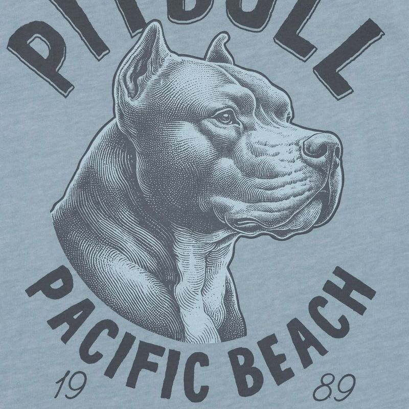 Pánské tričko Pitbull Pacific blue 5