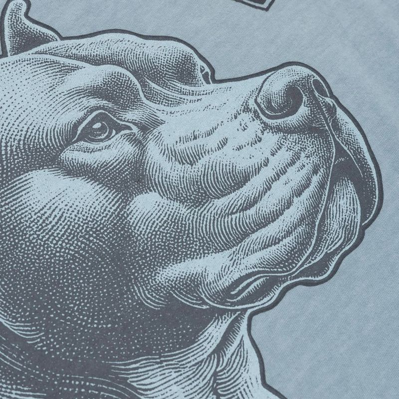 Pánské tričko Pitbull Pacific blue 6