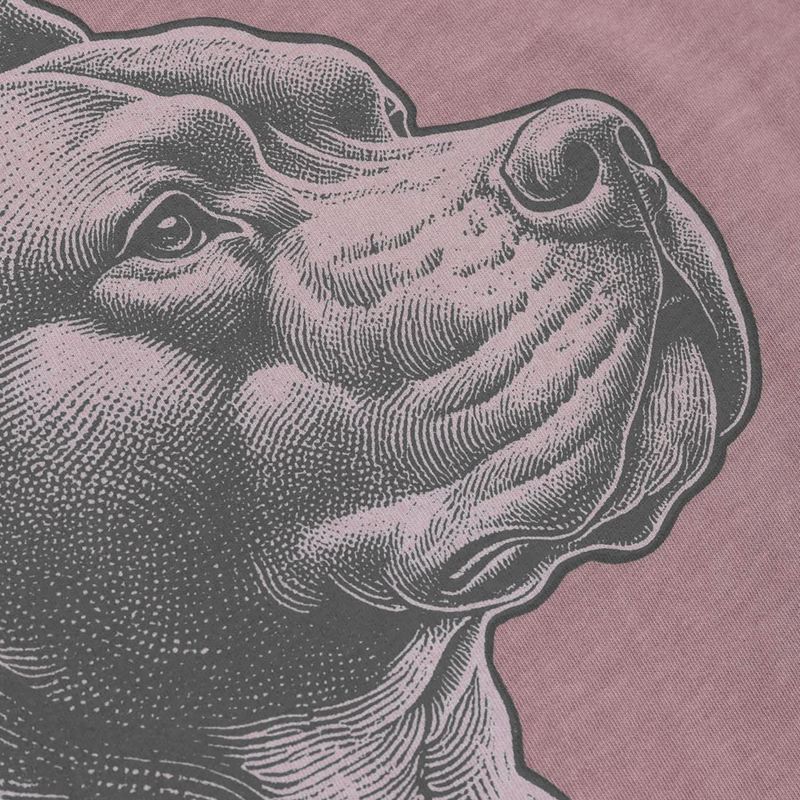 Pánské tričko Pitbull Pacific dusty burgundy 6