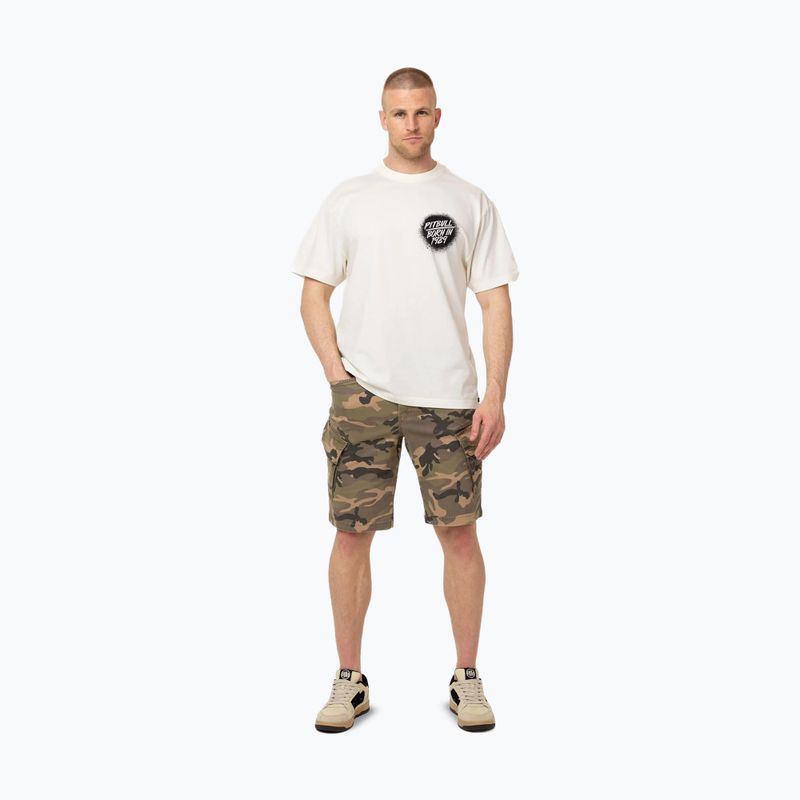 Pánské tričko Pitbull Graffiti off white 2