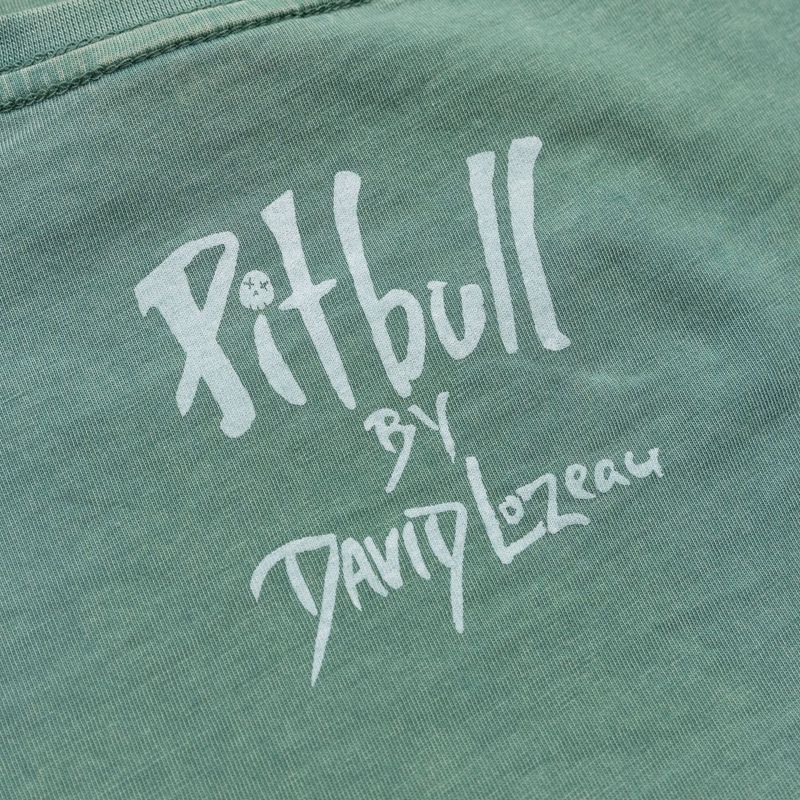 Dámské tričko Pitbull Cruisinandboozin mint 7