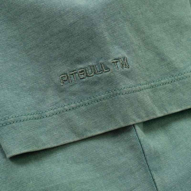 Dámské tričko Pitbull Cruisinandboozin mint 8