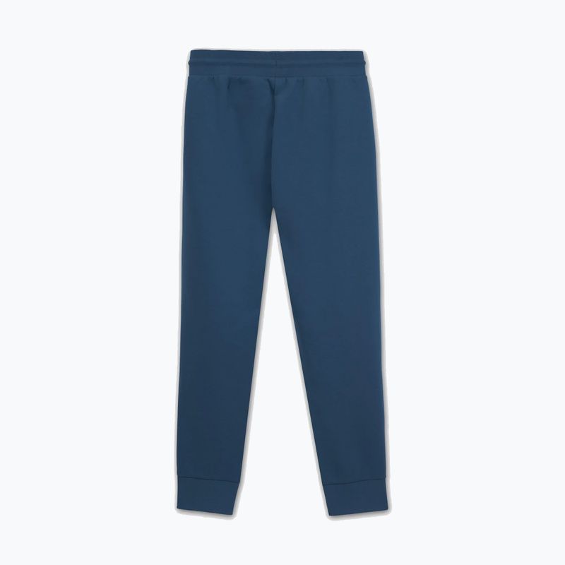 Pánské tepláky Pitbull Sampson Track Pants petrol blue 5