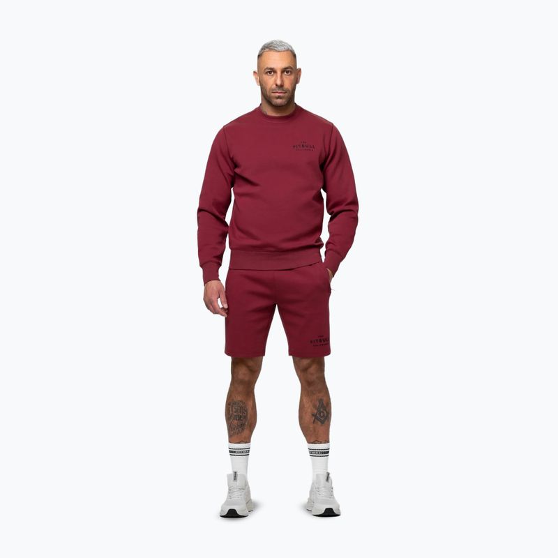 Pánská mikina Pitbull Sampson Crewneck Sweatshirt burgundy 2