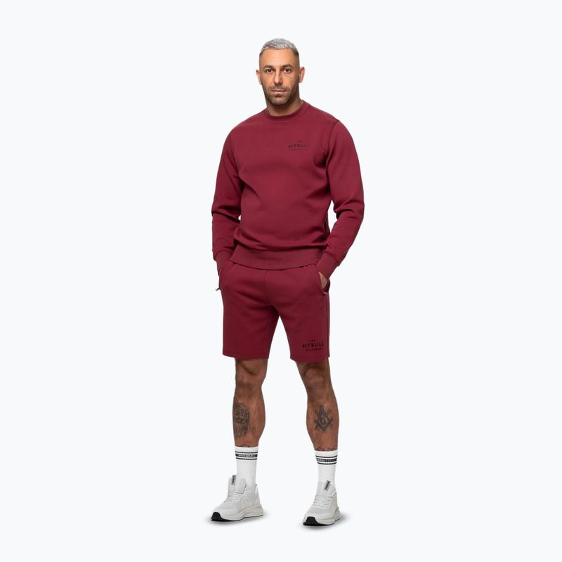 Pánská mikina Pitbull Sampson Crewneck Sweatshirt burgundy 4