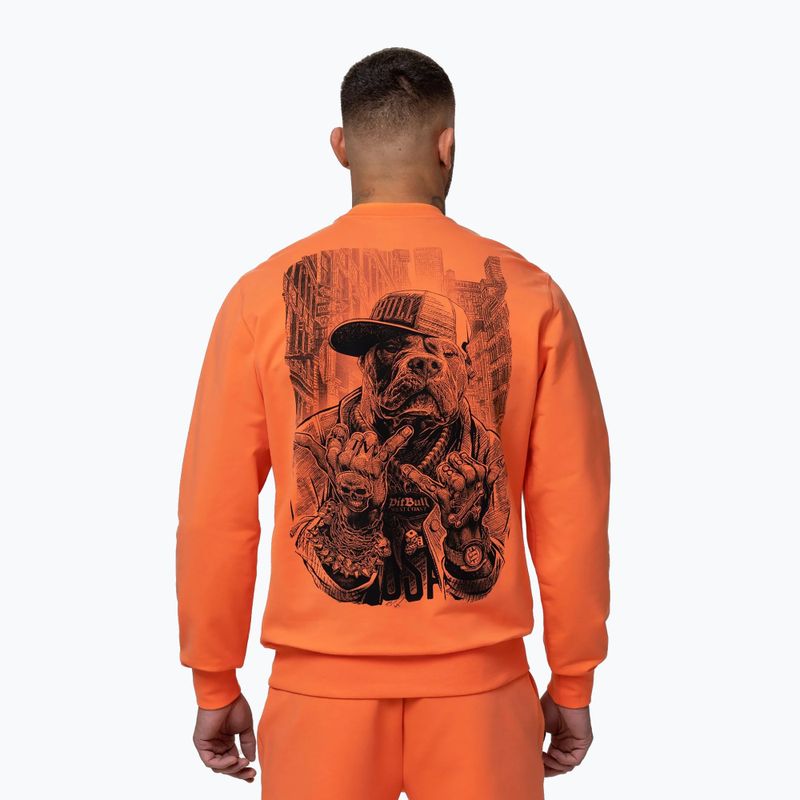 Pánská mikina Pitbull USA Crewneck Sweatshirt fluo orange 3