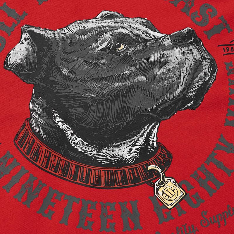 Pánská mikina Pitbull Strenght & Respect Sweatshirt Hooded red 9