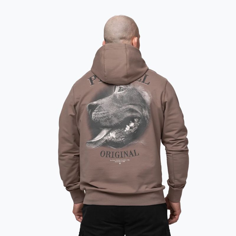 Pánská mikina Pitbull Midnight Sweatshirt Hooded brown savana 3