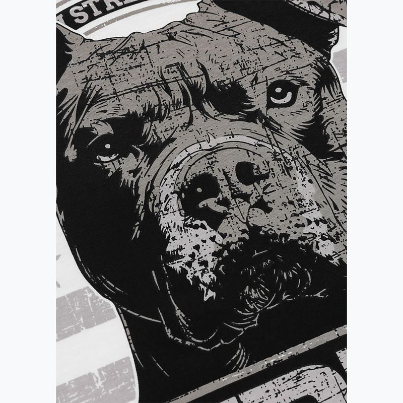 Pánské tričko na lezení Pitbull Troublemarker white 10
