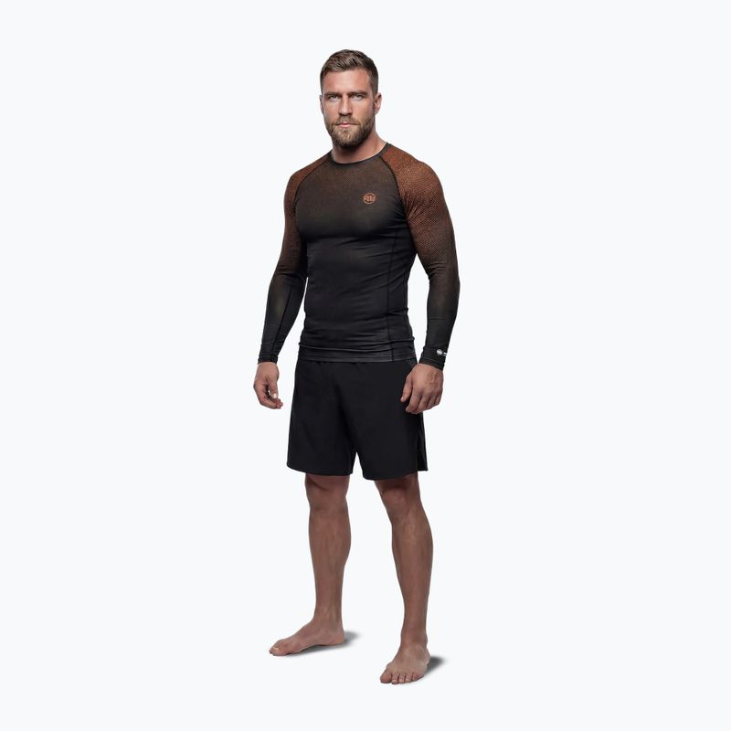 Pánský rashguard s dlouhým rukávem Pitbull Belt Rashguard brown 2