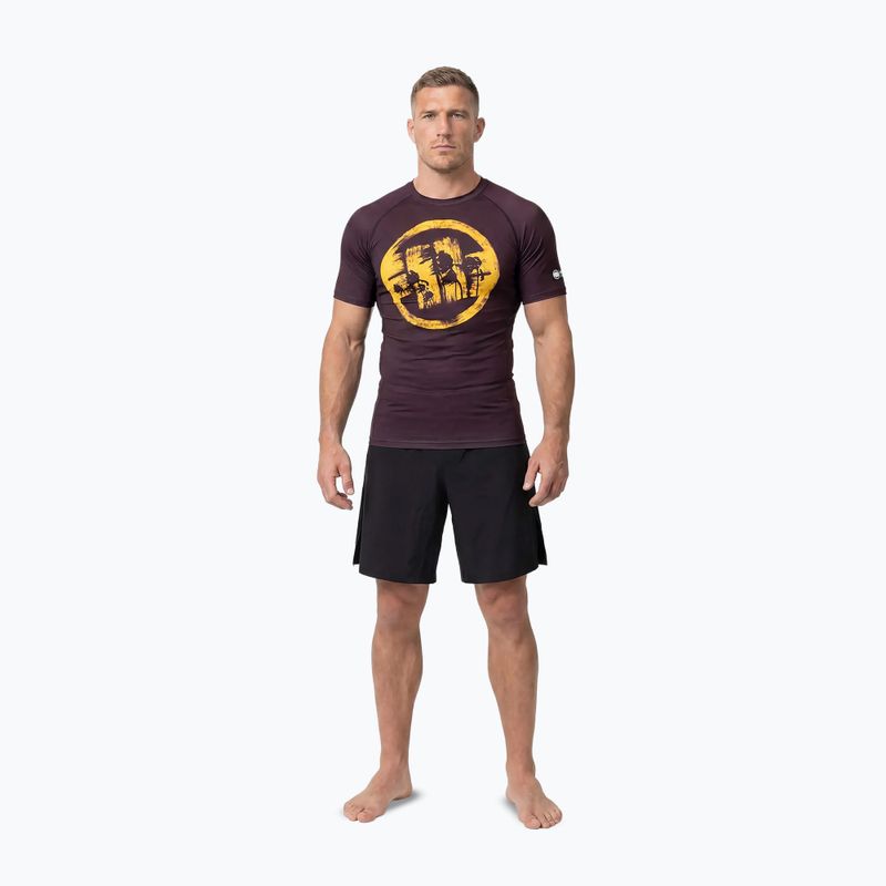 Pánské tričko na lezení Pitbull Rashguard Logo Palms brown 2