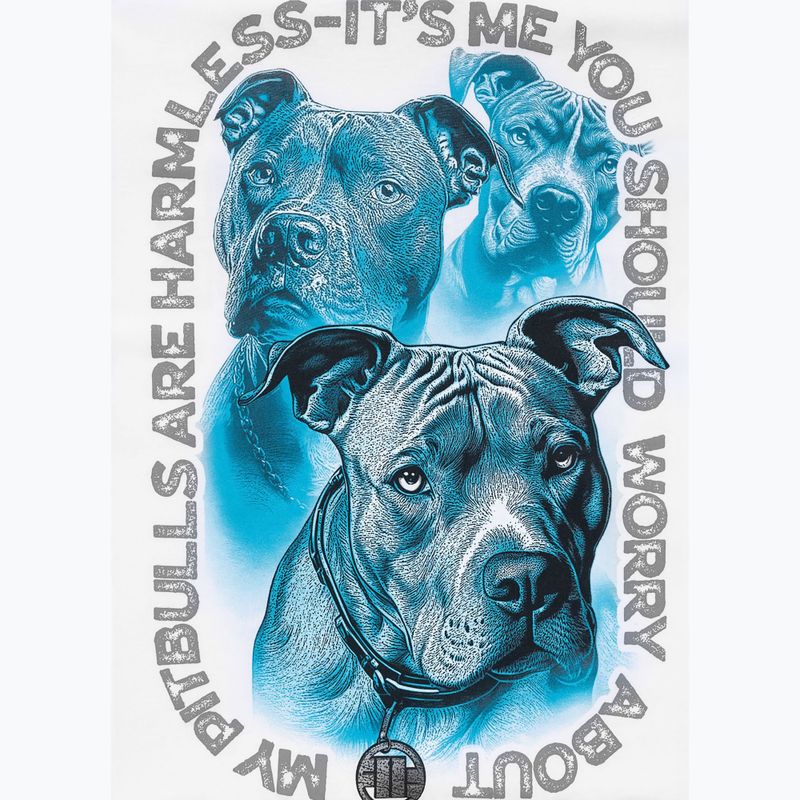 Pánské tričko na lezení Pitbull Protector white 11