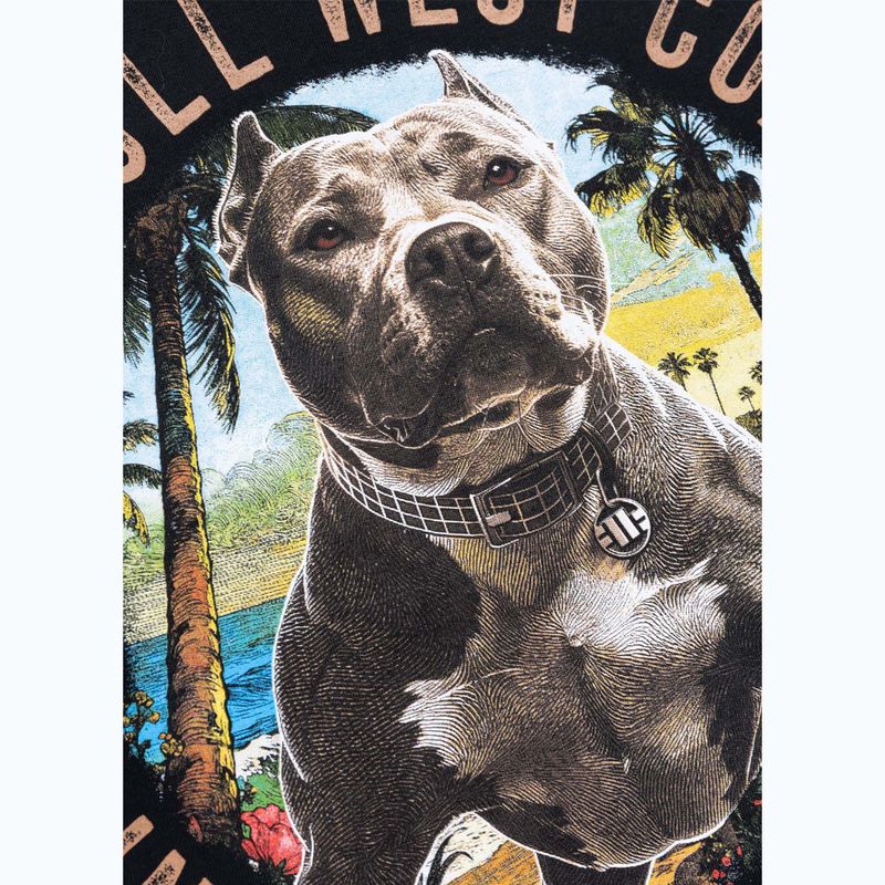 Pánské tričko na lezení Pitbull Beach Boy black 11