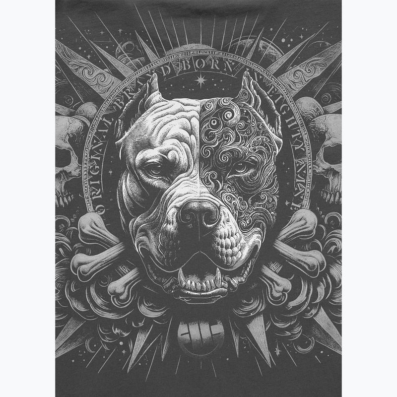 Pánské tričko na lezení Pitbull World graphite 5