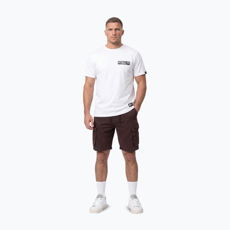Pánské tričko na lezení Pitbull Avenue white 2