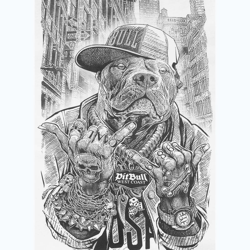 Pánské tričko na lezení Pitbull Avenue white 8