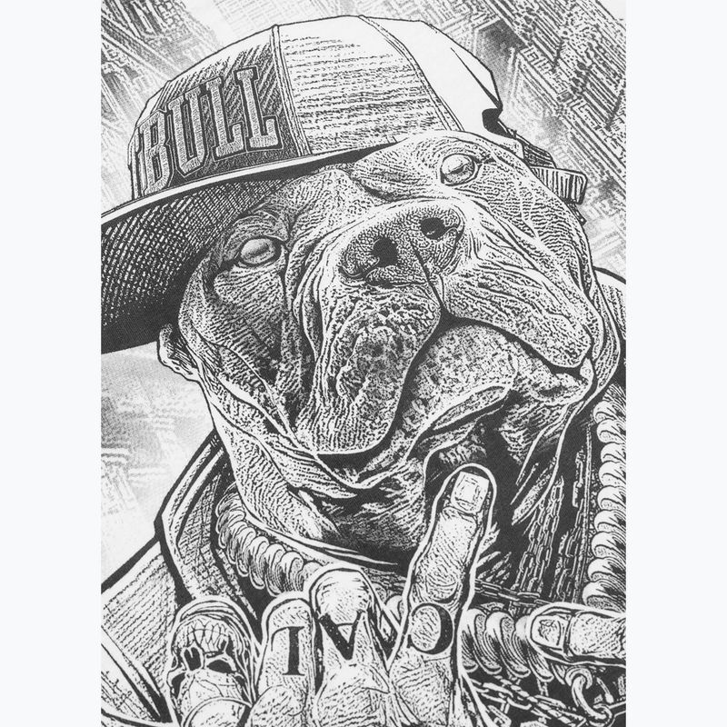 Pánské tričko na lezení Pitbull Avenue white 9