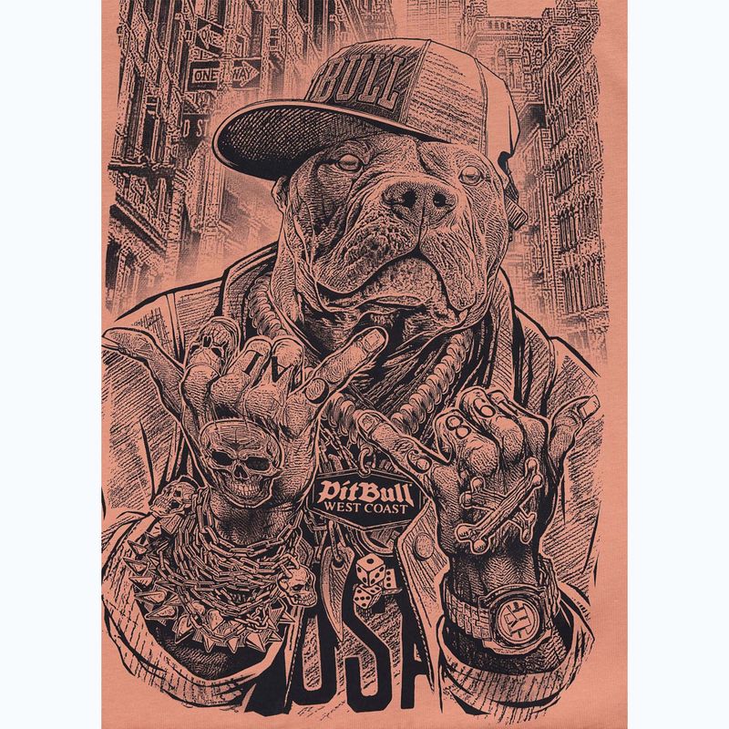 Pánské tričko na lezení Pitbull Avenue pale salmon 5