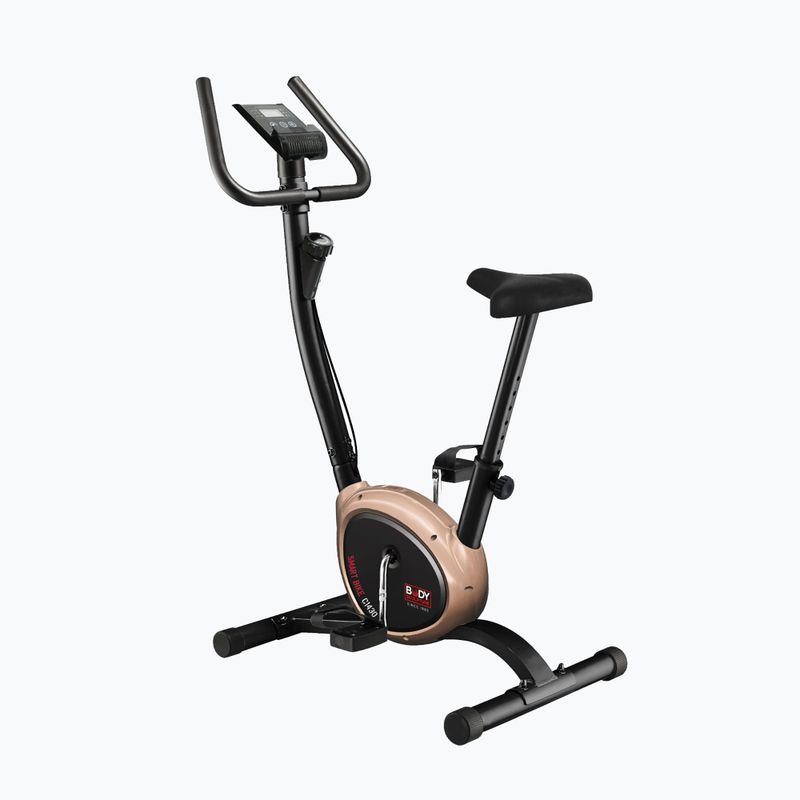 Vertikální stacionární kolo Body Sculpture Bc 1430Gd black 2