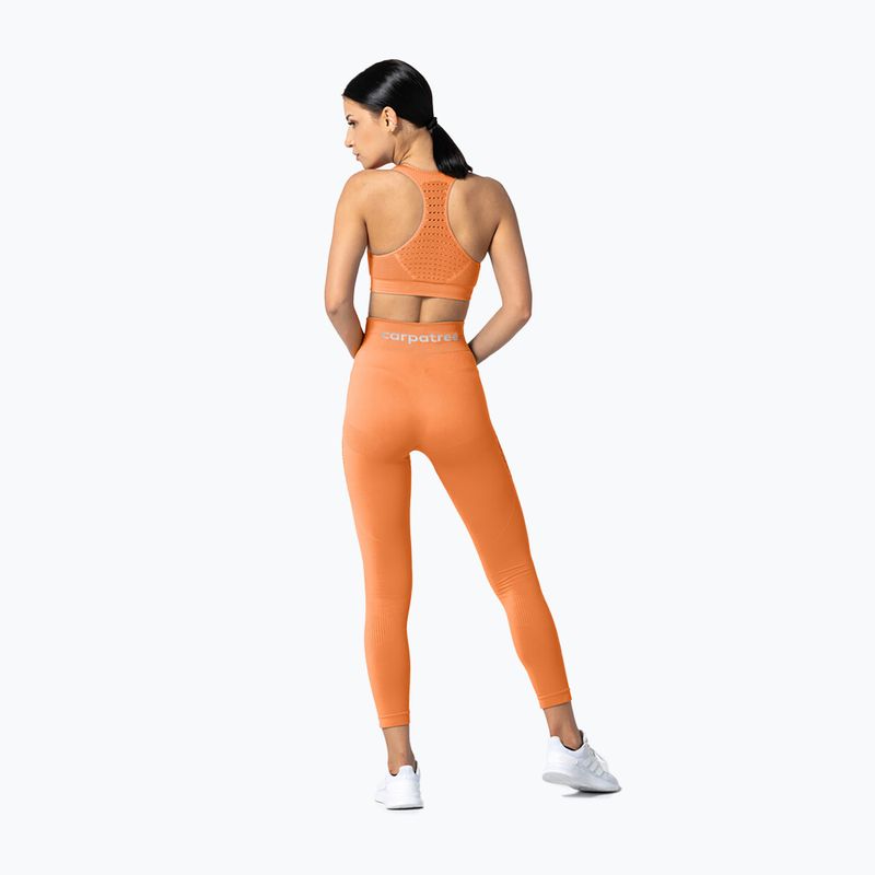 Dámské bezešvé legíny Carpatree Phase Seamless orange CP-PSL-PE 5