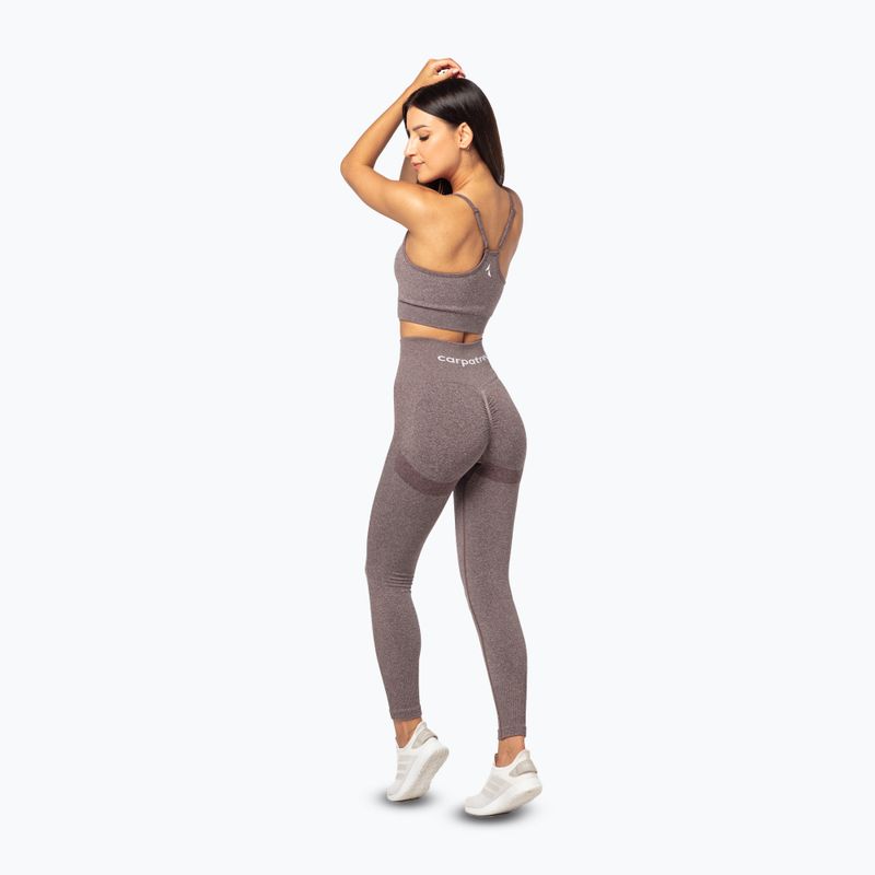Dámské tréninkové legíny Carpatree Allure Seamless brown melange (pepper corn) 3