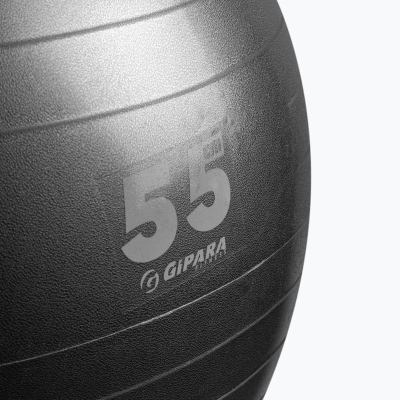 Gymnastický míč fitness Gipara 55 cm šedý 3141 2