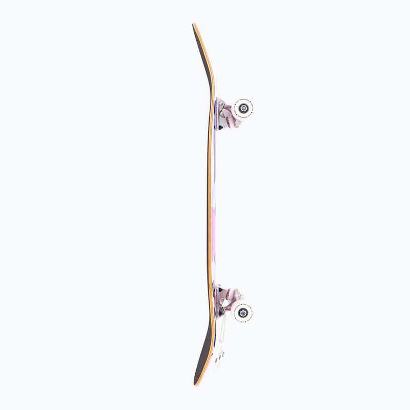 Skateboard Fish Skateboards Pro Brain Vacation 8,0"  4