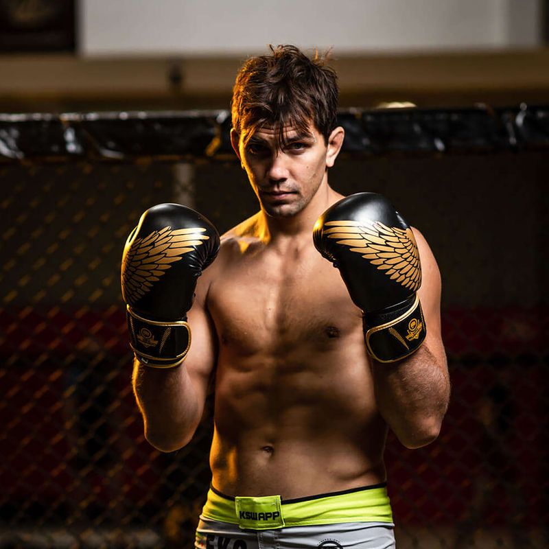 Boxerské rukavice Bushido HAWK Active Clima černá a zlatá B-2v17 13