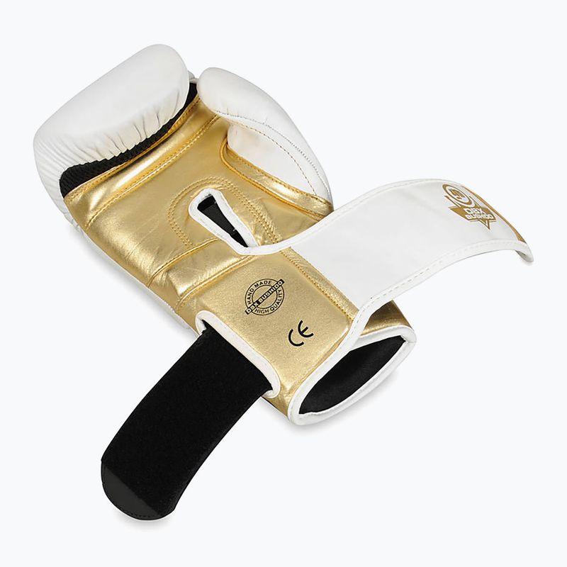 DBX BUSHIDO Hammer bílé boxerské rukavice B-2V19 8