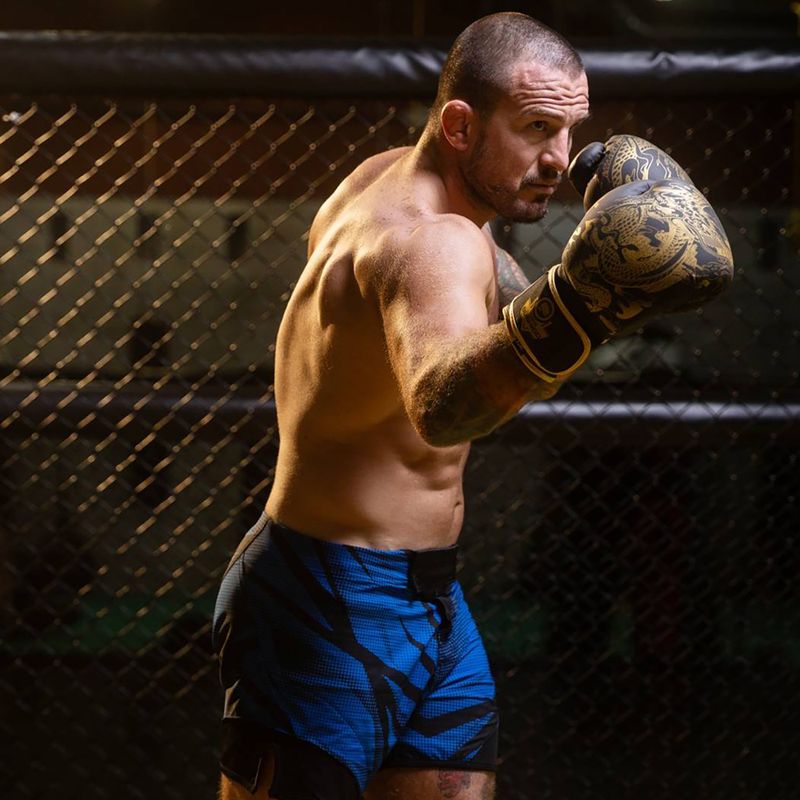 Boxerské rukavice DBX BUSHIDO "Gold Dragon" zlaté/černé 8
