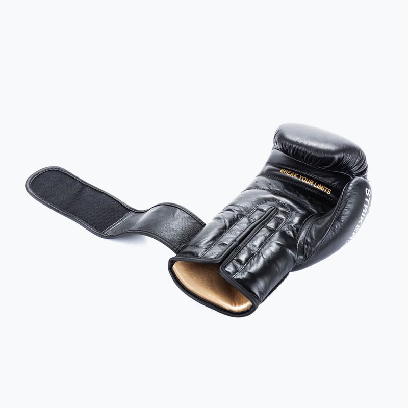 Boxerské rukavice DBX BUSHIDO "Striker" black 9