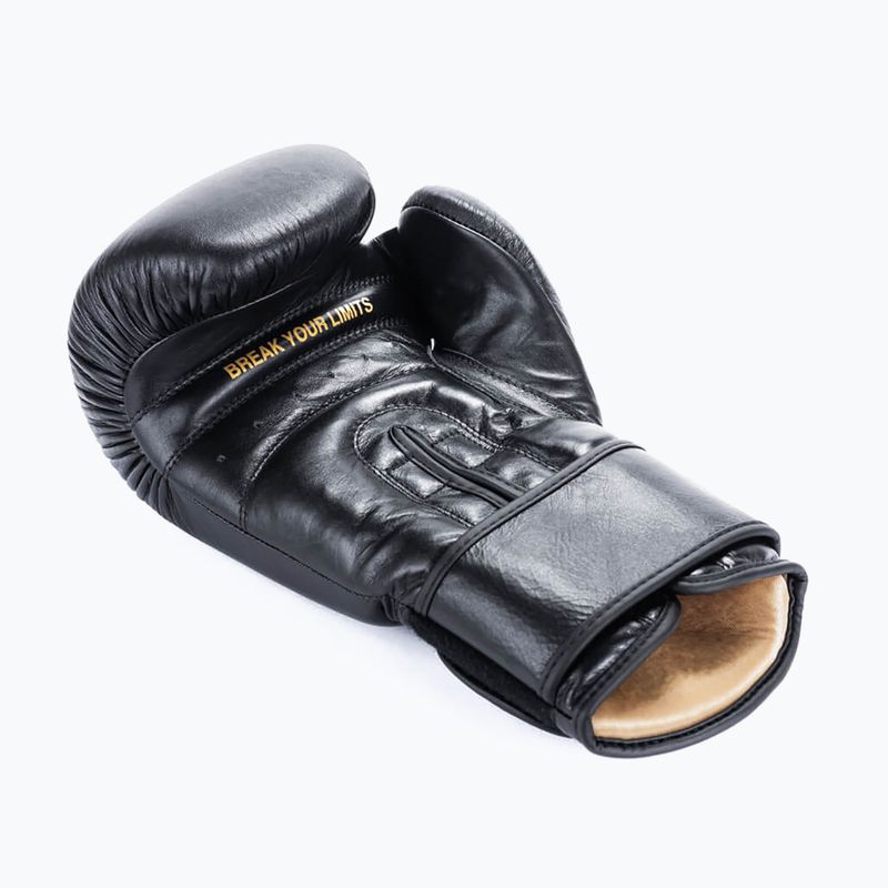 Boxerské rukavice DBX BUSHIDO "Striker" black 10