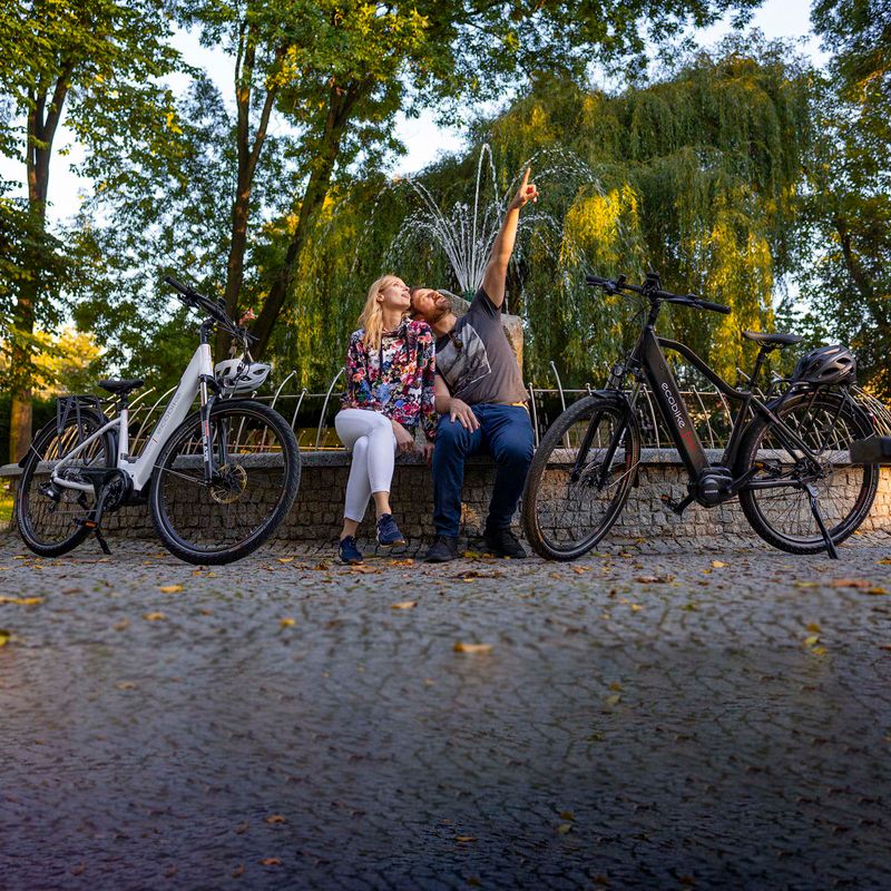 Ecobike LX300 Greenway elektrické kolo bílé 1010306 20