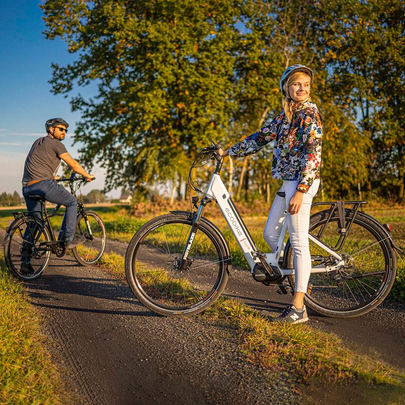 Ecobike LX300 Greenway elektrické kolo bílé 1010306 21