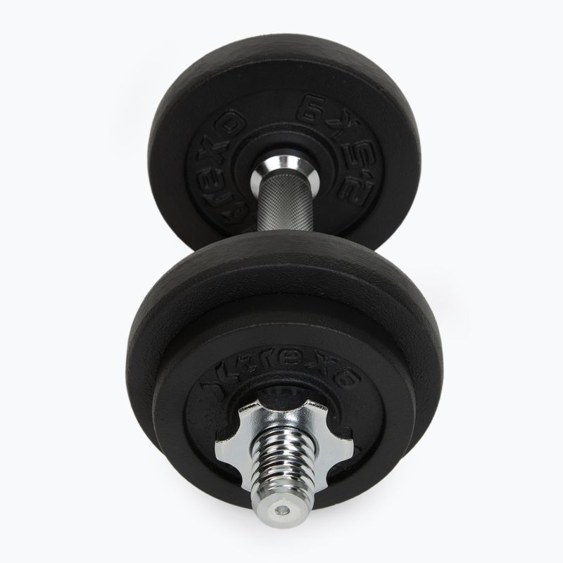 Sada činek XTREXO 20 kg DK20 2