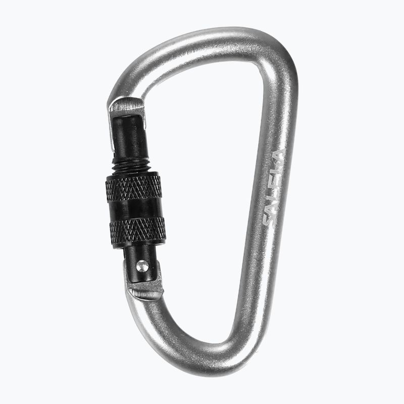 Salewa D-Shape Carbiner se šroubem černý 00-0000034102