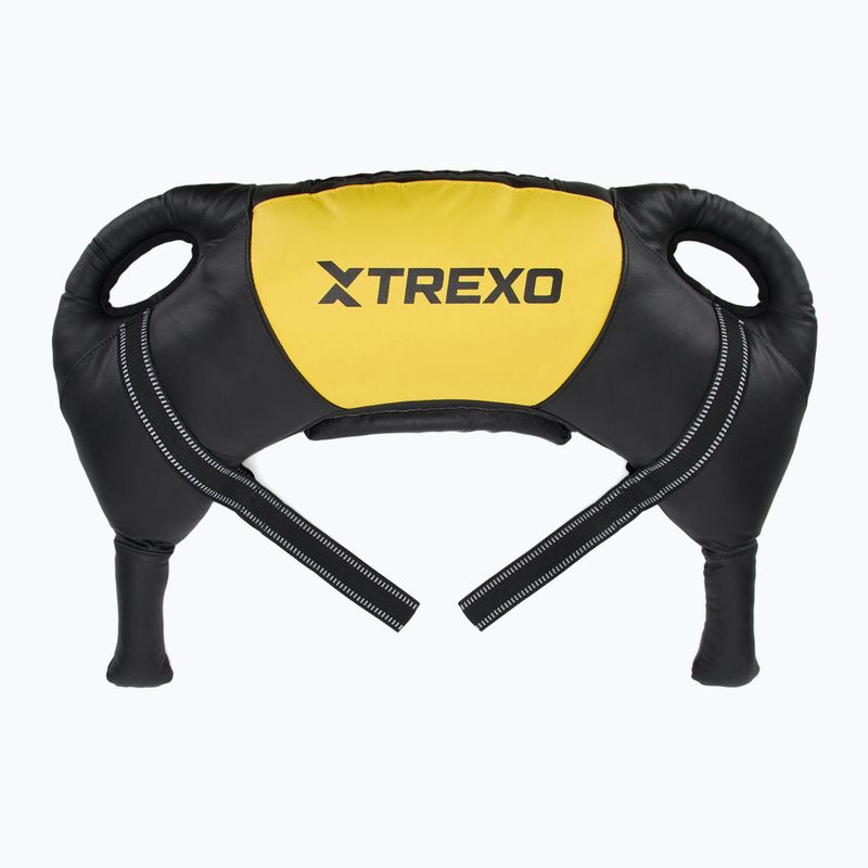 Bulharský pytel TREXO 15 kg black