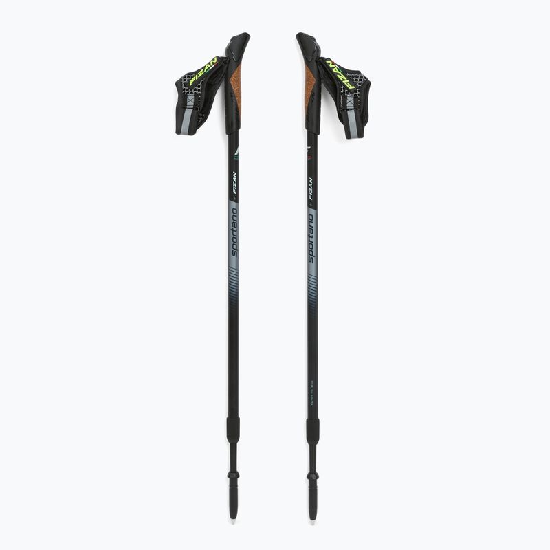 Hole na nordic walking Fizan Smu Active black 5
