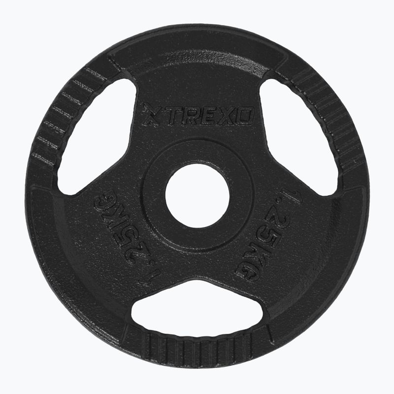 Litinový kotouč XTREXO TRX-ICP001 1,25 kg chrom 3