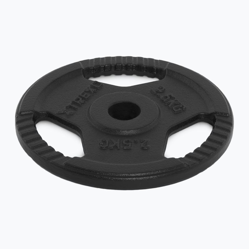 Litinový kotouč XTREXO TRX-ICP002 2,5 kg chrom