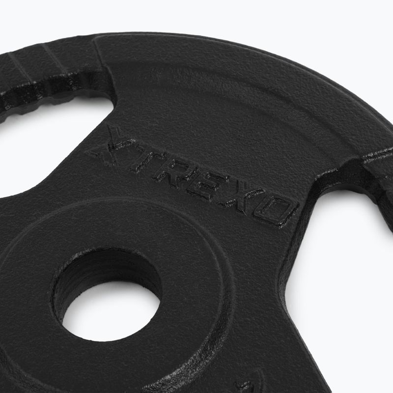 Litinový kotouč XTREXO TRX-ICP002 2,5 kg chrom 4