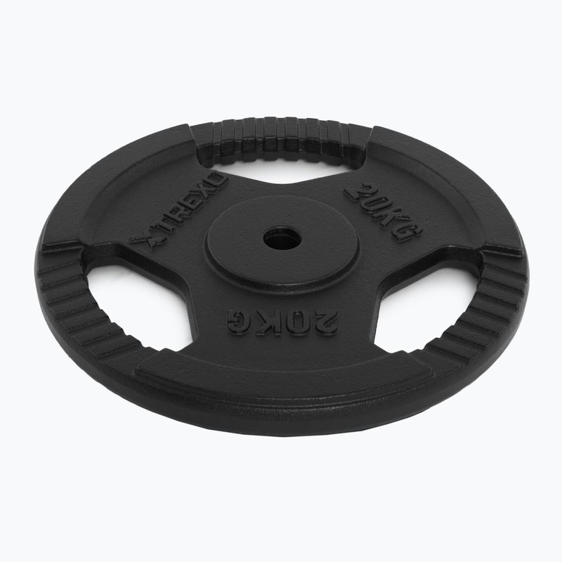 Litinový kotouč TREXO TRX-ICP020 20 kg chrom