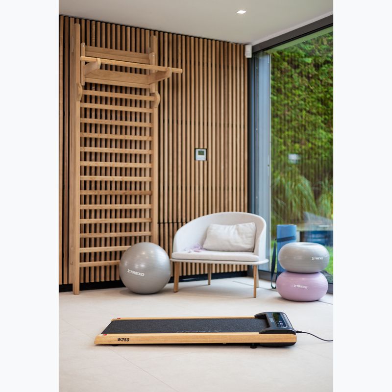 Elektrický běžecký pás XTREXO TXO-W250 Walking Pad black/brown 9