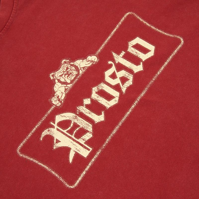 Pánské tričko PROSTO Bull red 3