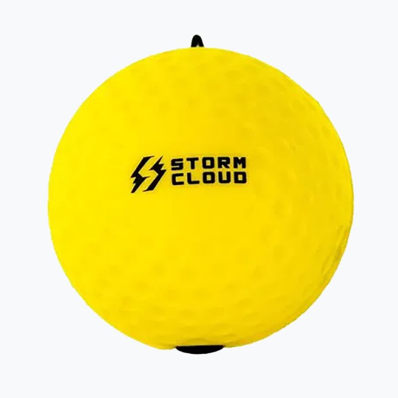 Reflexní míčky StormCloud Reflex Ball Duo yellow/black 3